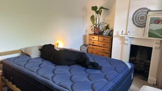 Our mattress tester assessing the comfort and support of the DreamCloud Luxe Memory Foam mattress by lying on her side