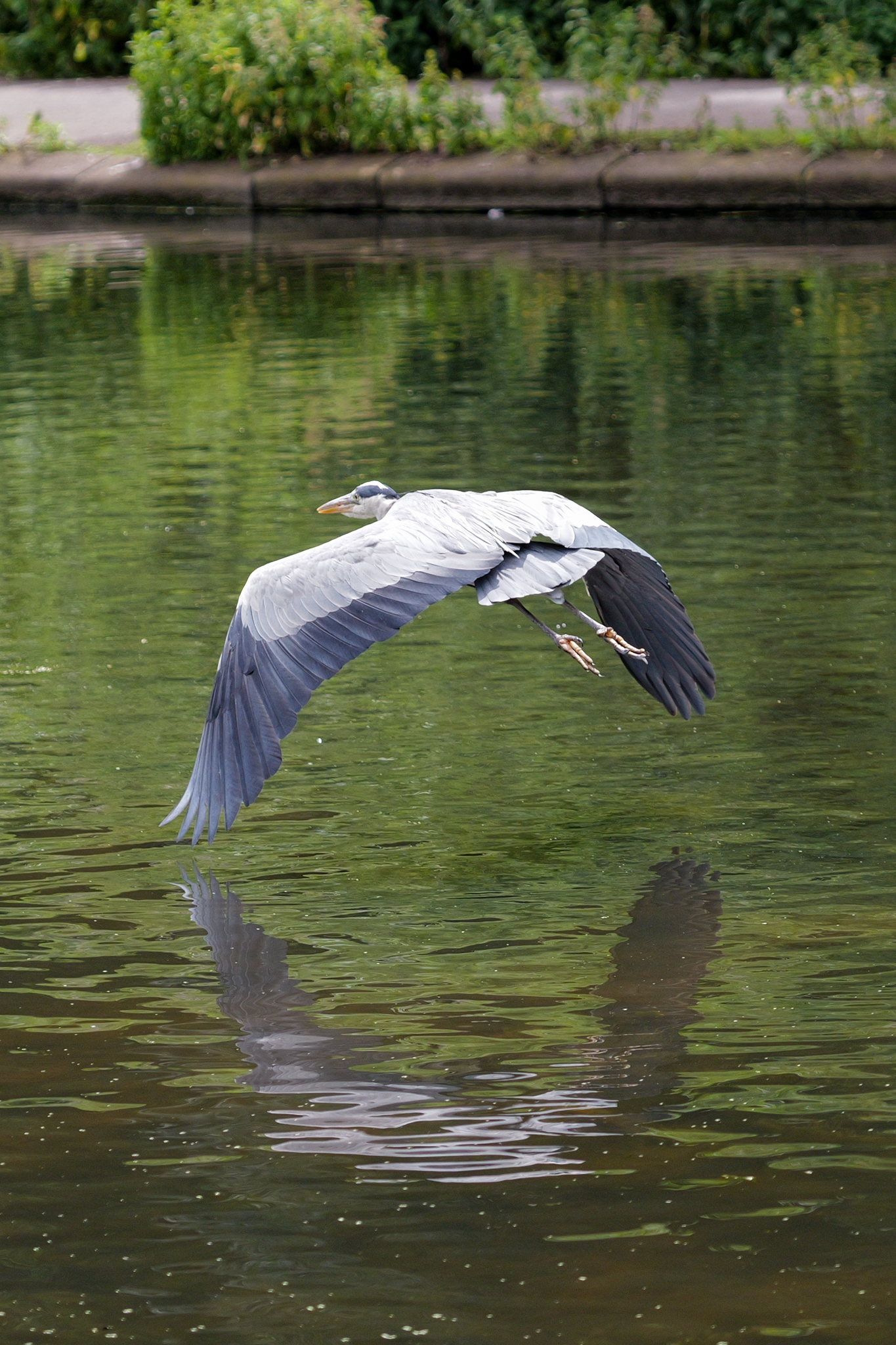 A photo taken on a Leica SL3-P full frame mirrorless camera