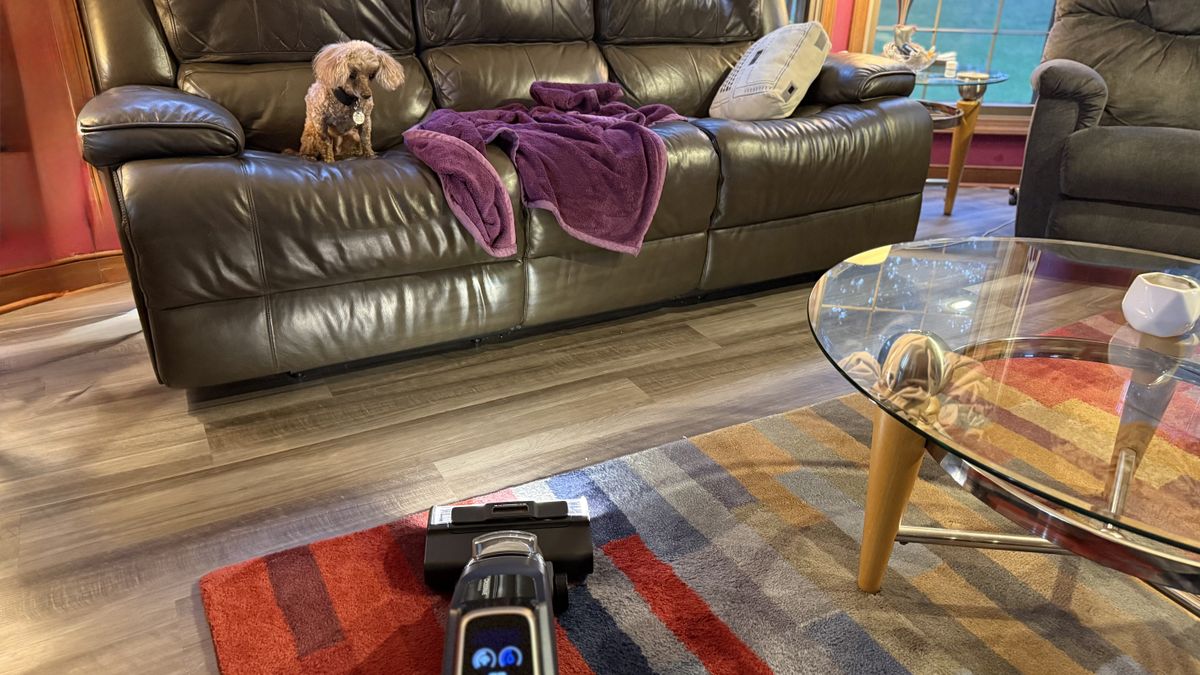 Bissell CrossWave HydroScrub All-in-One-Multi-Surface Cleaner being used to clean area rug