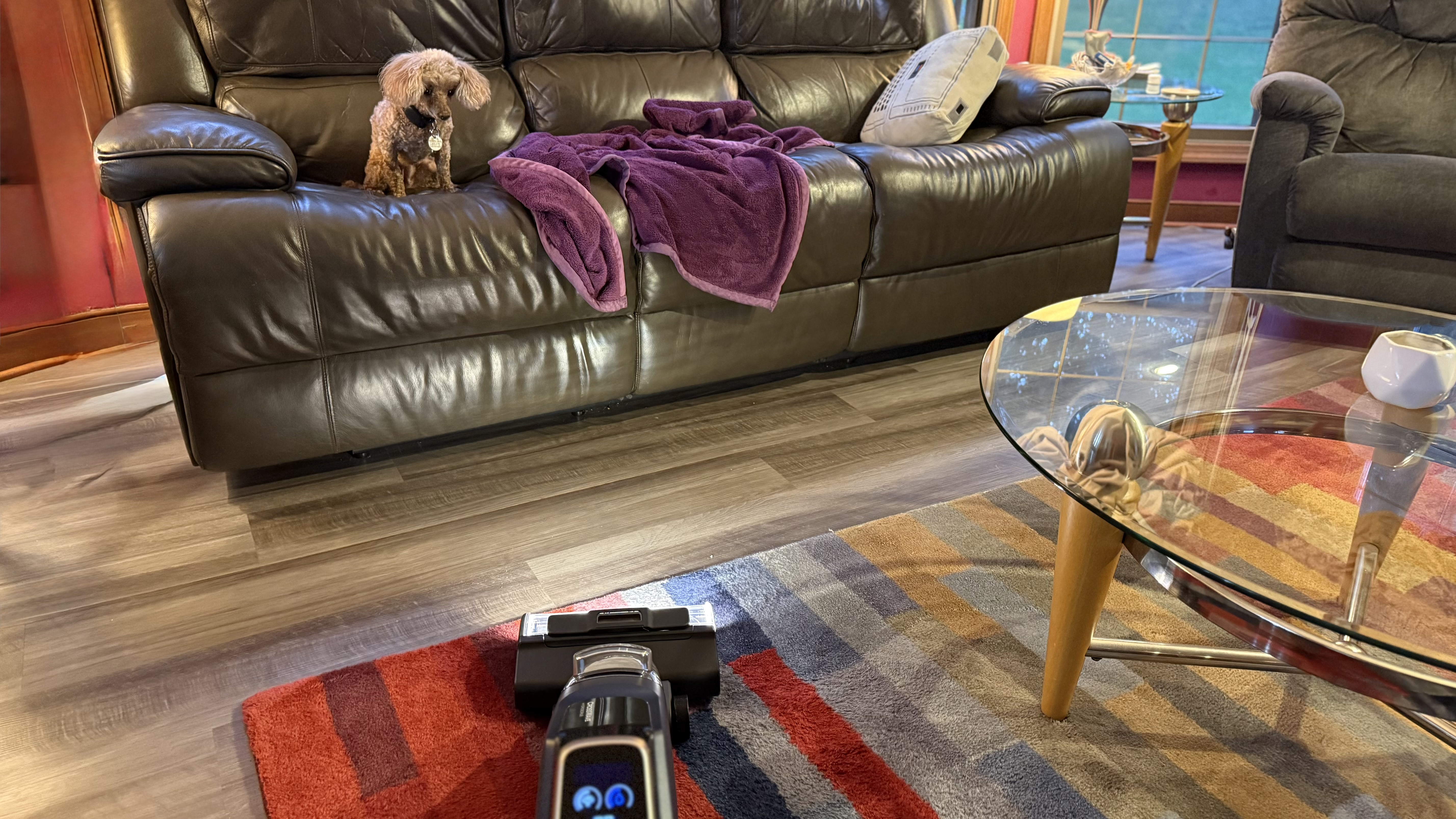 Bissell CrossWave HydroScrub All-in-One-Multi-Surface Cleaner being used to clean area rug