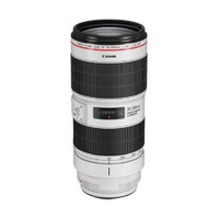 Canon EF 70-200mm F/2.8L IS III USM: