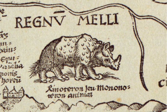 Rhinoceros on Carta marina