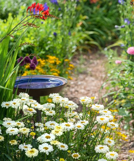 bird bath in flower beds in summer