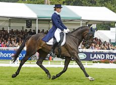 Swedish rider Ludwig Svennerstal and his &ldquo;charismatic&rdquo; 15-year-old gelding King Bob, by King of Siam, shared their best 4* placing to date this year when they came 9th at Burghley. The pair were also 11th at Luhmuhlen, helping Ludwig to continue to make a name for himself in the senior ranks of eventing following his 20th place at the London Olympics with Shamwari 4 last year