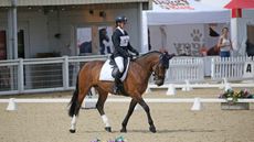 Maddie-Oldfield-1.jpg
