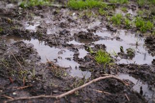 Close up of muddy waterlogged ground