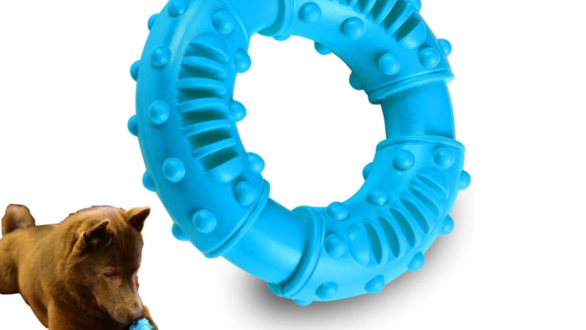 Best teething toys for puppies 2024 Take a bite out of teething pains PetsRadar