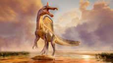 An illustration of a large dinosaur standing on its hindlegs with a large back sail and sharp spike on its head, with a bloody carcass below it. The animal stands on a glowing sandy riverbed with grass on either side of it