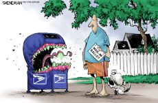 Political Cartoon