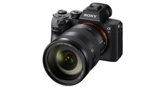 Sony A7R III vs A7 III: Sony A7R III