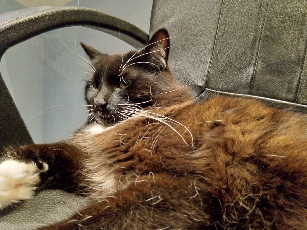 Some shots taken indoors can be relatively sharp. Image credit: TechRadar