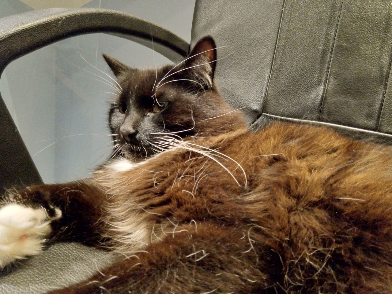 Some shots taken indoors can be relatively sharp. Image credit: TechRadar