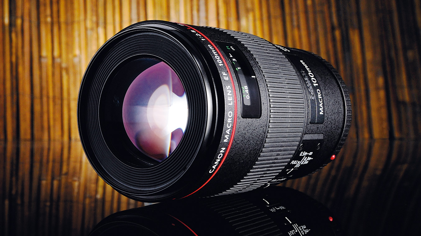 Canon EF 100mm f/2.8L Macro lens