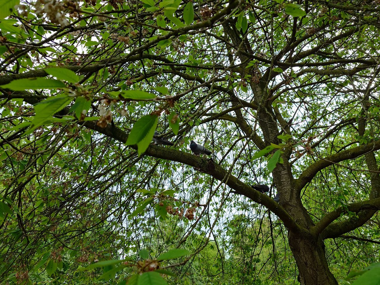 A photo of he Sony Xperia 1 VI