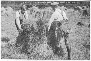 Life in 1918 (©Country Life Picture Library)