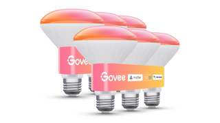 Govee BR30 E26 Smart LED Colored Light Bulb