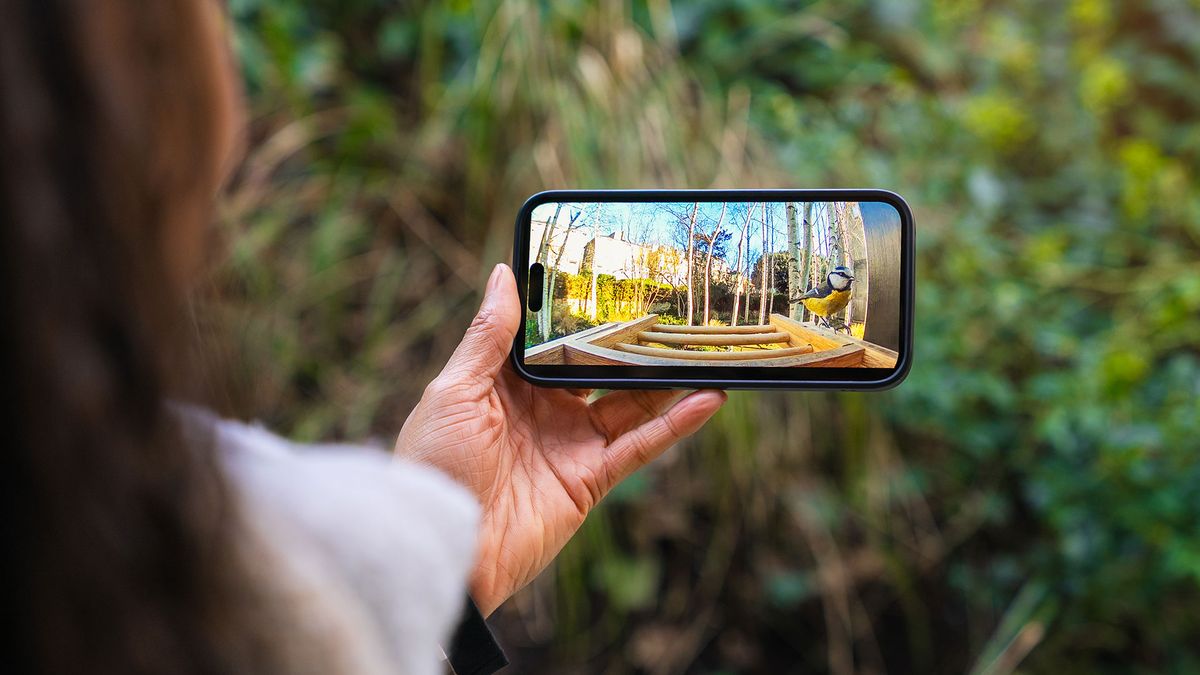Tech and nature can go hand in hand thanks to these clever gadgets