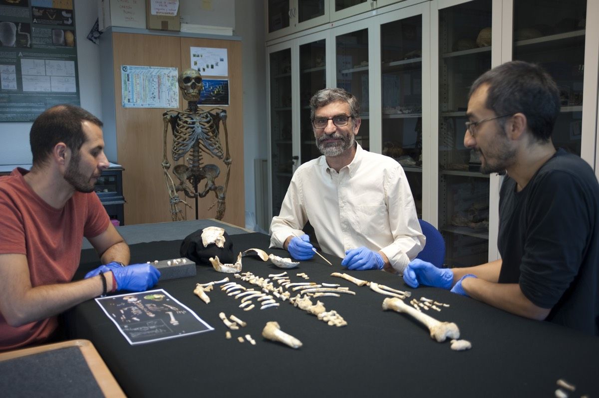 Antonio García-Tabernero, Antonio Rosas and Luis Ríos stand beside the skeleton of a Neanderthal child.