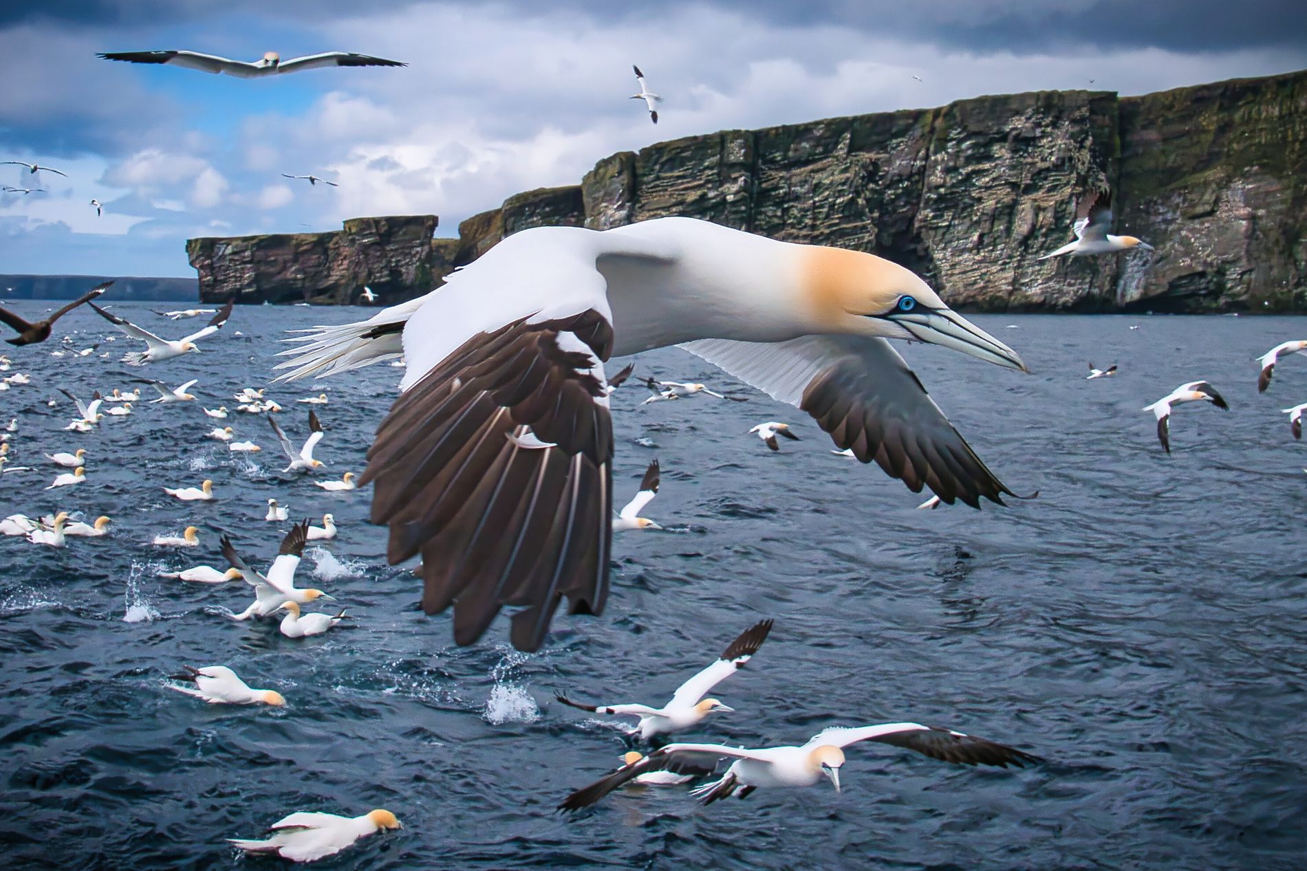 GuruShots - Nature&rsquo;s Masterpiece 2026