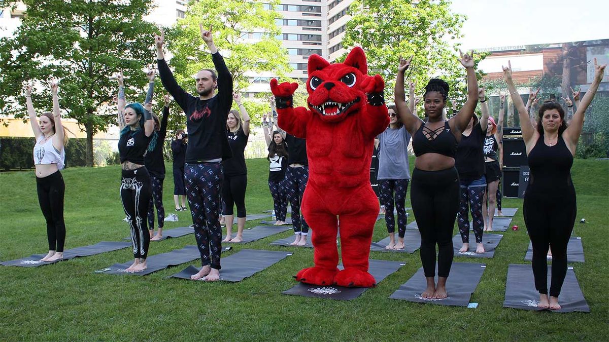 A doom yoga class with Download Dog