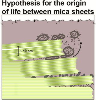 Hansma's pioneering research on biological atomic force microscopy led her to a new hypothesis for the origin of life 