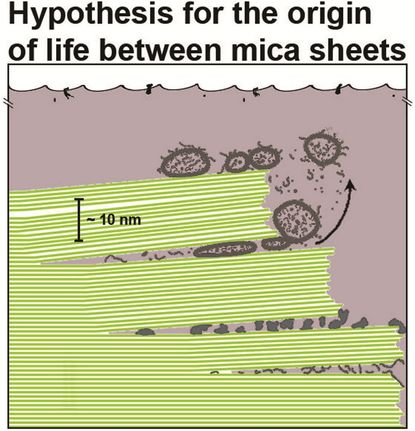 Hansma's pioneering research on biological atomic force microscopy led her to a new hypothesis for the origin of life 