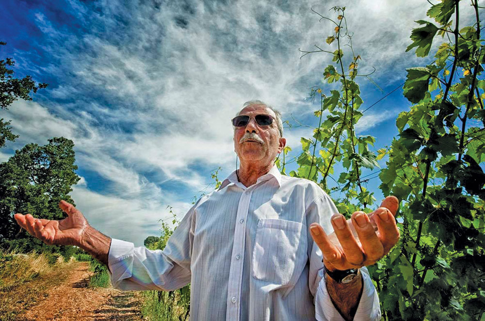 Filippo Petrera, Fatalone