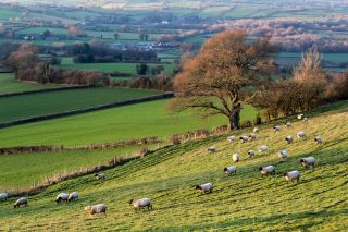 Alt yr Esgair with view into the Usk valley, Wales.