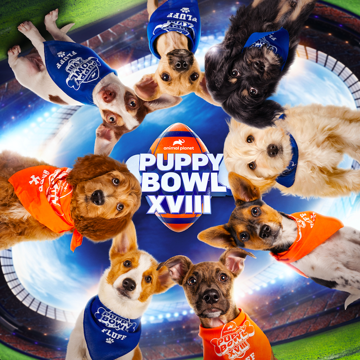 puppy bowl 2005