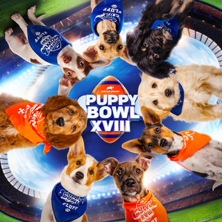Puppy Bowl on Animal Planet