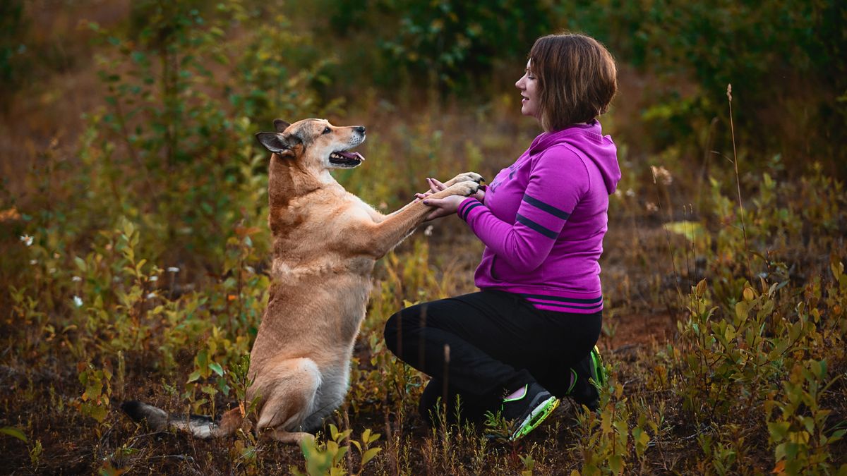 Woman training dog in field