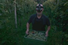 wine made in the dark