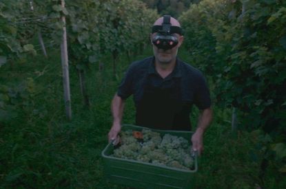 wine made in the dark