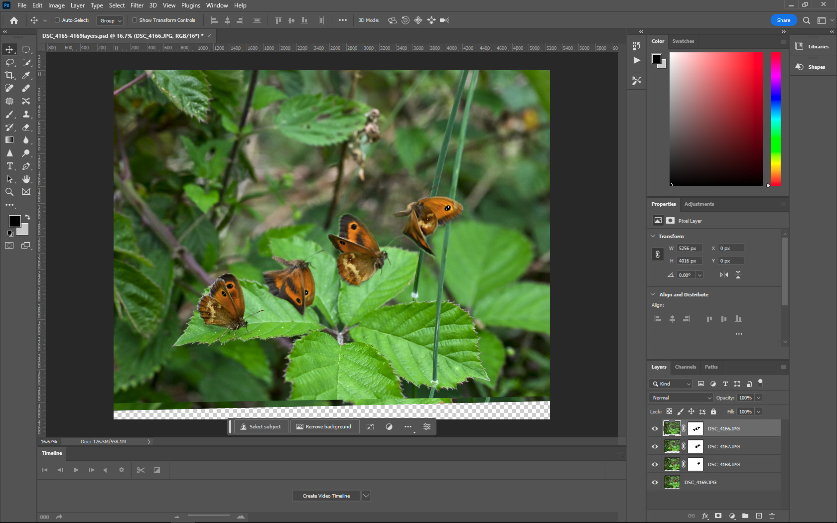 Adobe Photoshop screenshot showing Nigel A Ball's multiplicity of a butterfly taking off