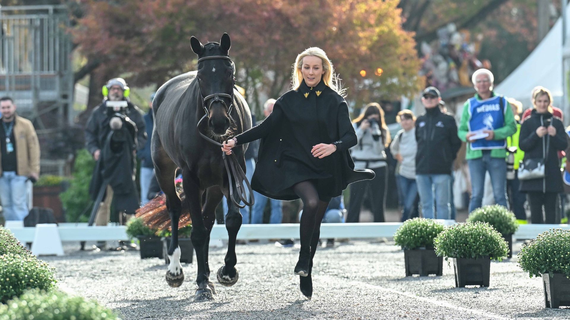 Pau Horse Trials trot-up first horse inspection