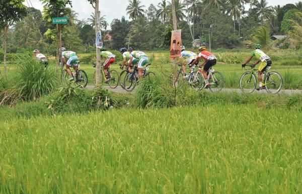 Riders pass trough rice field in Tanjung Pati area at stage 2 Tour de Singkarak 2012.