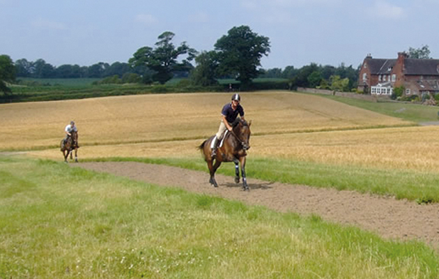 MAIN-broxton_hall_f19.jpg