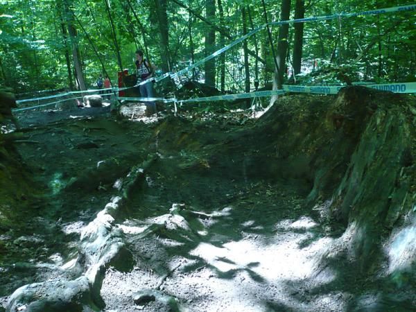 This Snake Pit rooty section is more level than the drops though it is stills lightly downhill.