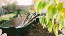 picture of trowels in a wheel barrow to show essential tools every gardener needs