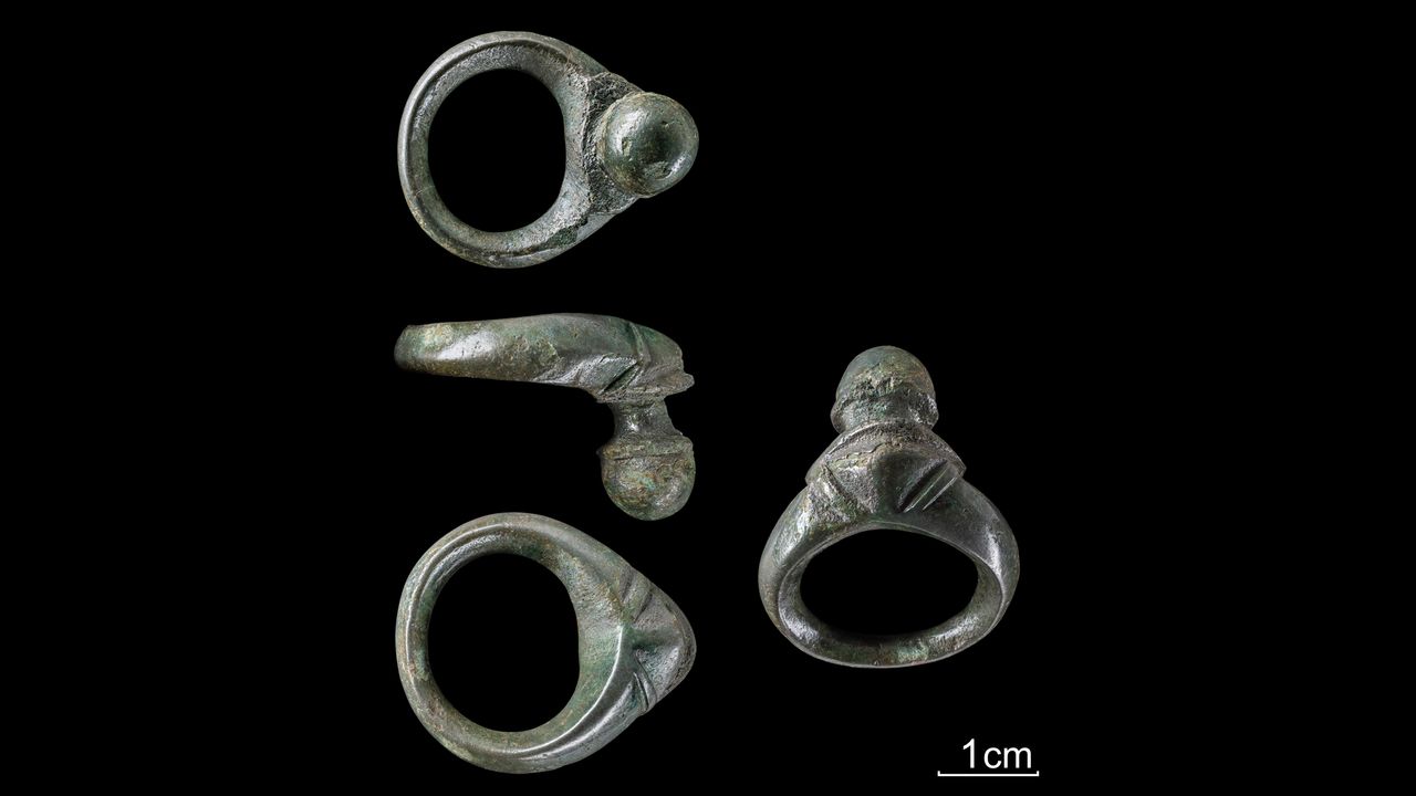 Belt hooks like this one, shown from different angles, are among the few non-iron objects in the hoard.