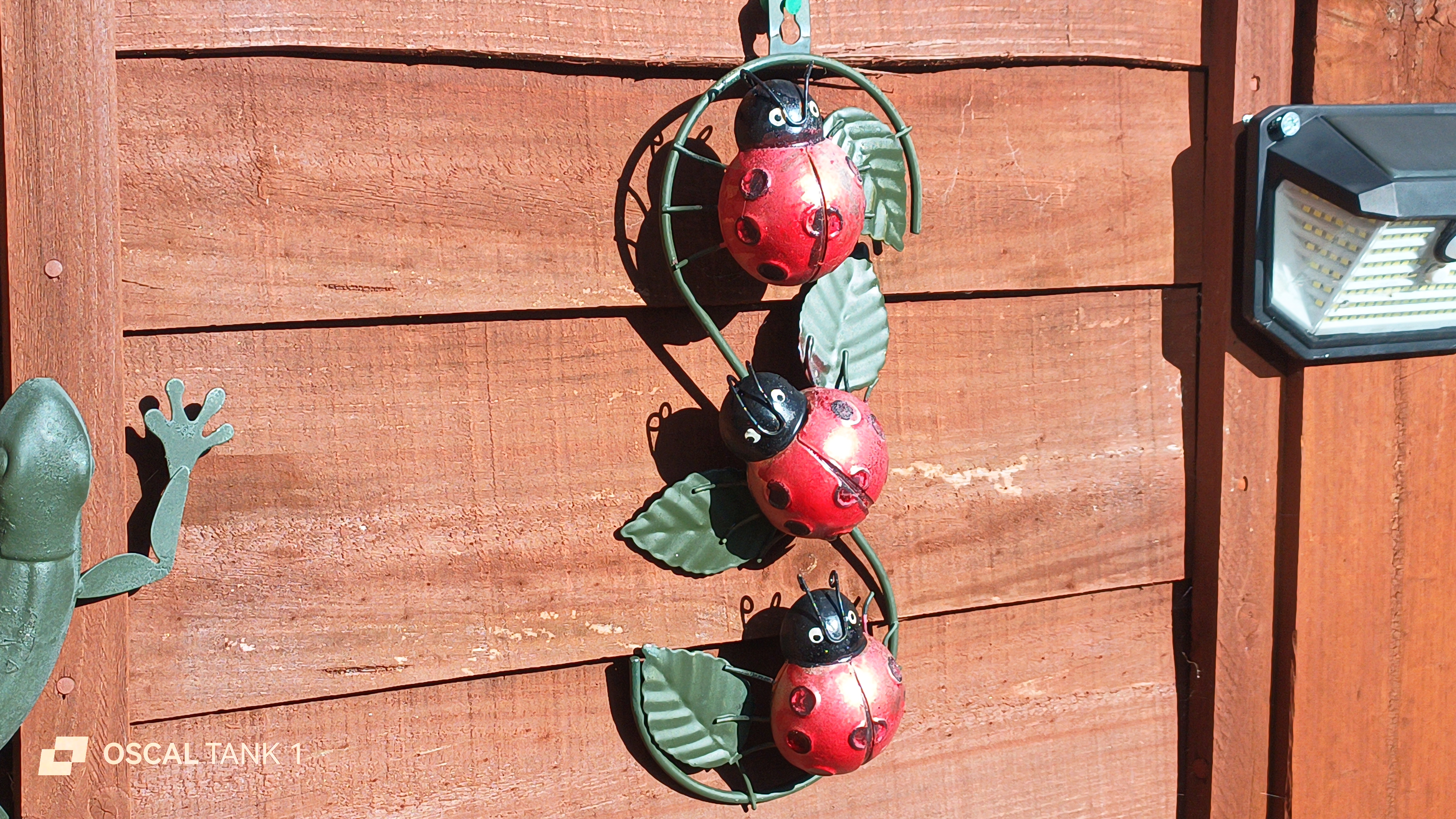 Blackview Oscal TANK 1 example pictures