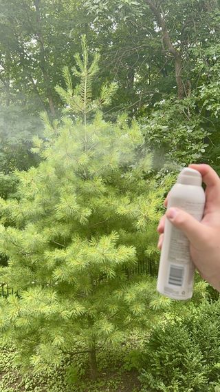 Sophia Vilensky spraying MDSolarSciences quick dry body spray in a forest.