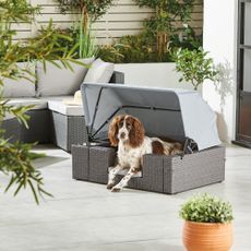 Aldi rattan dog lounger with canopy and bowl