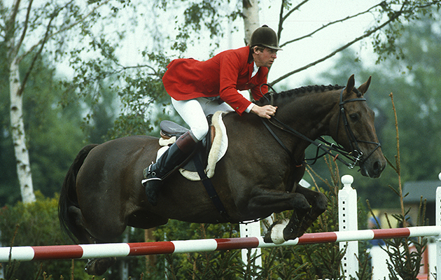 Horses