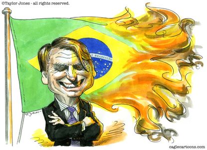 Political Cartoon Jair Bolsonaro Brazil Amazon Forest Fire