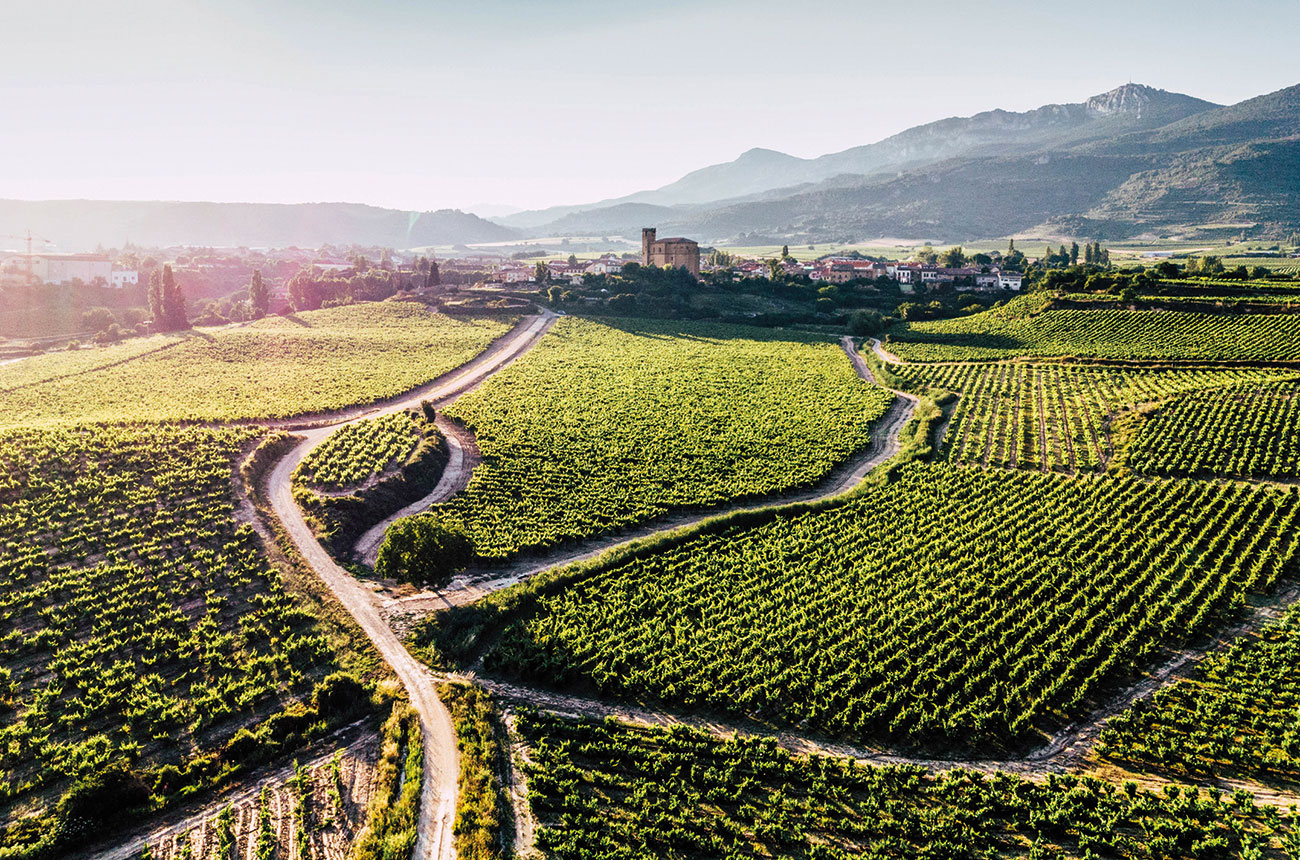 Samaniego from Remirez de Ganuza vineyards