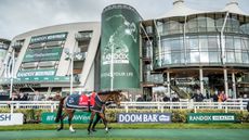 Aintree-sale-Don-Poli.jpg