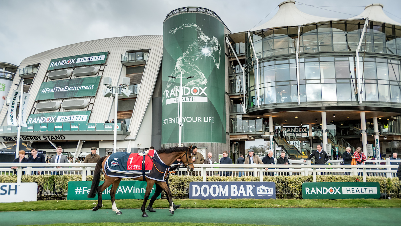 Aintree-sale-Don-Poli.jpg