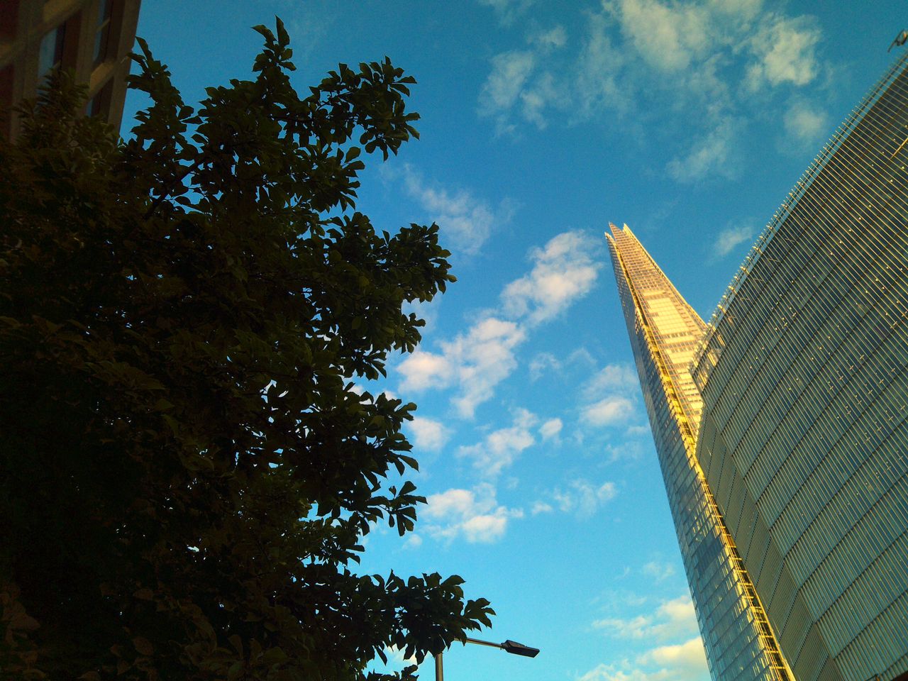 Sample image of Camp Snap CS-Pro showing London's Shard in background and silhouetted tree in foreground