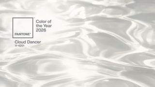 Pantone Colour of the Year